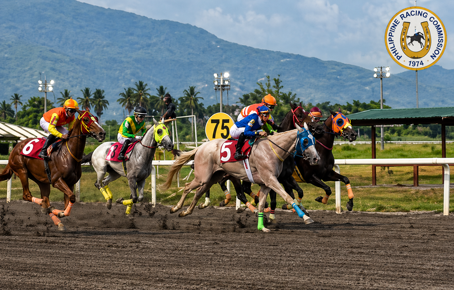 MetroTurf racing grounds